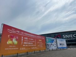 Vision China鐨勫浼犳澘鍜屼細(xì)鍦哄叆鍙? width=