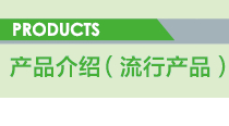 浜у搧浠嬬粛錛堟祦琛屼駭鍝侊級(jí)